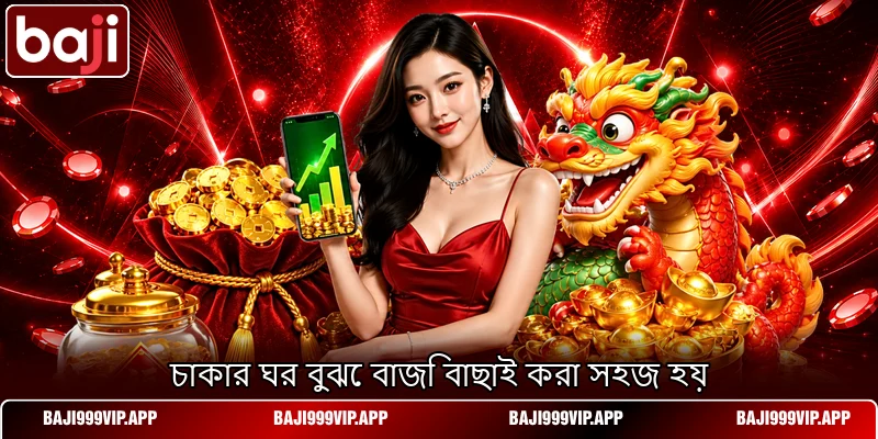 চাকার ঘর বুঝে বাজি বাছাই করা সহজ হয় চাকার ঘর বুঝে বাজি বাছাই করা সহজ হয়