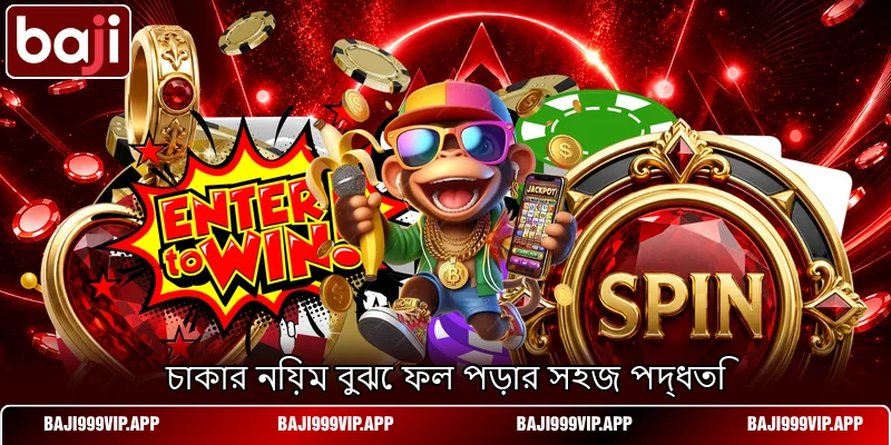 চাকার নিয়ম বুঝে ফল পড়ার সহজ পদ্ধতি চাকার নিয়ম বুঝে ফল পড়ার সহজ পদ্ধতি