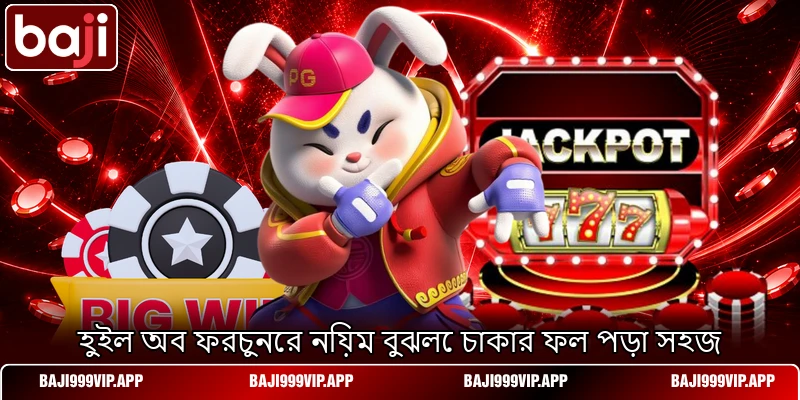 হুইল অব ফরচুনের নিয়ম বুঝলে চাকার ফল পড়া সহজ হুইল অব ফরচুনের নিয়ম বুঝলে চাকার ফল পড়া সহজ
